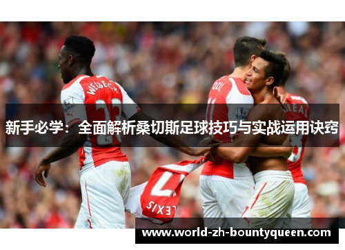 新手必学:全面解析桑切斯足球技巧与实战运用诀窍 新手必学:全面解析桑切斯足球技巧与实战运用诀窍