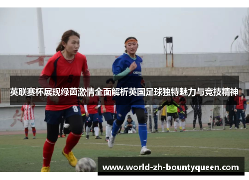 英联赛杯展现绿茵激情全面解析英国足球独特魅力与竞技精神 英联赛杯展现绿茵激情全面解析英国足球独特魅力与竞技精神