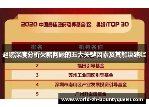 赵鹏深度分析欠薪问题的五大关键因素及其解决路径