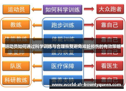 运动员如何通过科学训练与合理恢复避免肾脏损伤的有效策略