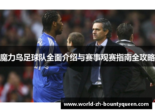 魔力鸟足球队全面介绍与赛事观赛指南全攻略