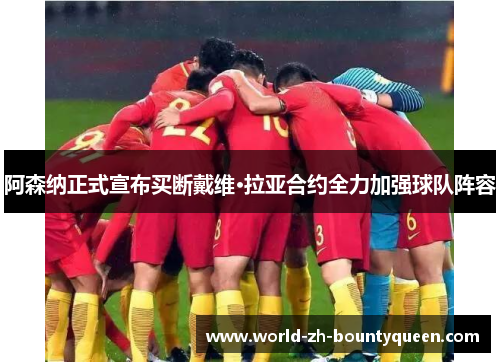 阿森纳正式宣布买断戴维·拉亚合约全力加强球队阵容
